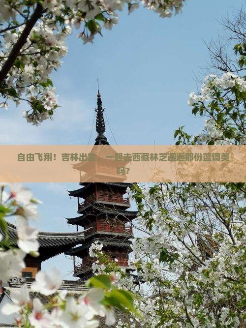 吉林去西藏林芝自由团