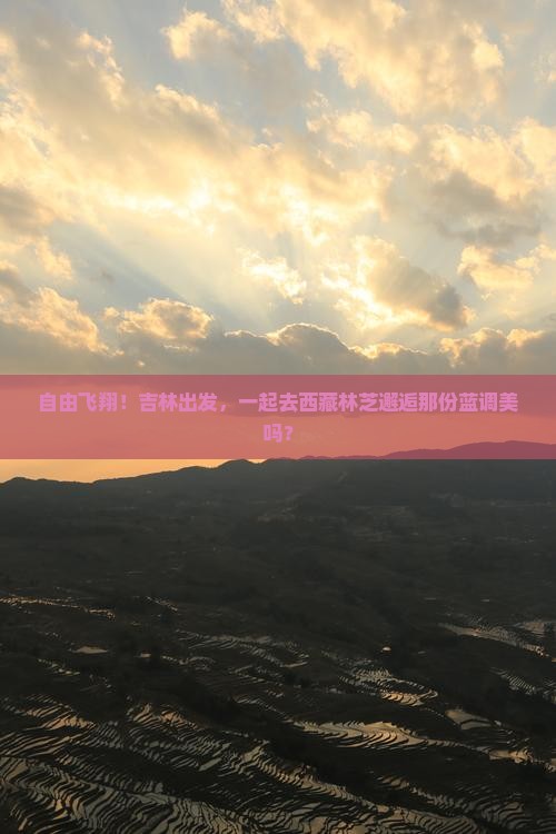 吉林去西藏林芝自由团