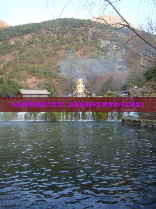 榆林去西藏大昭寺自由团