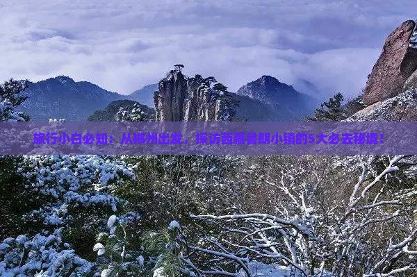 郴州去西藏鲁朗小镇必去地