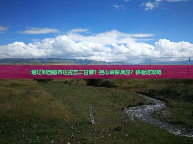 通辽到西藏布达拉宫二日游