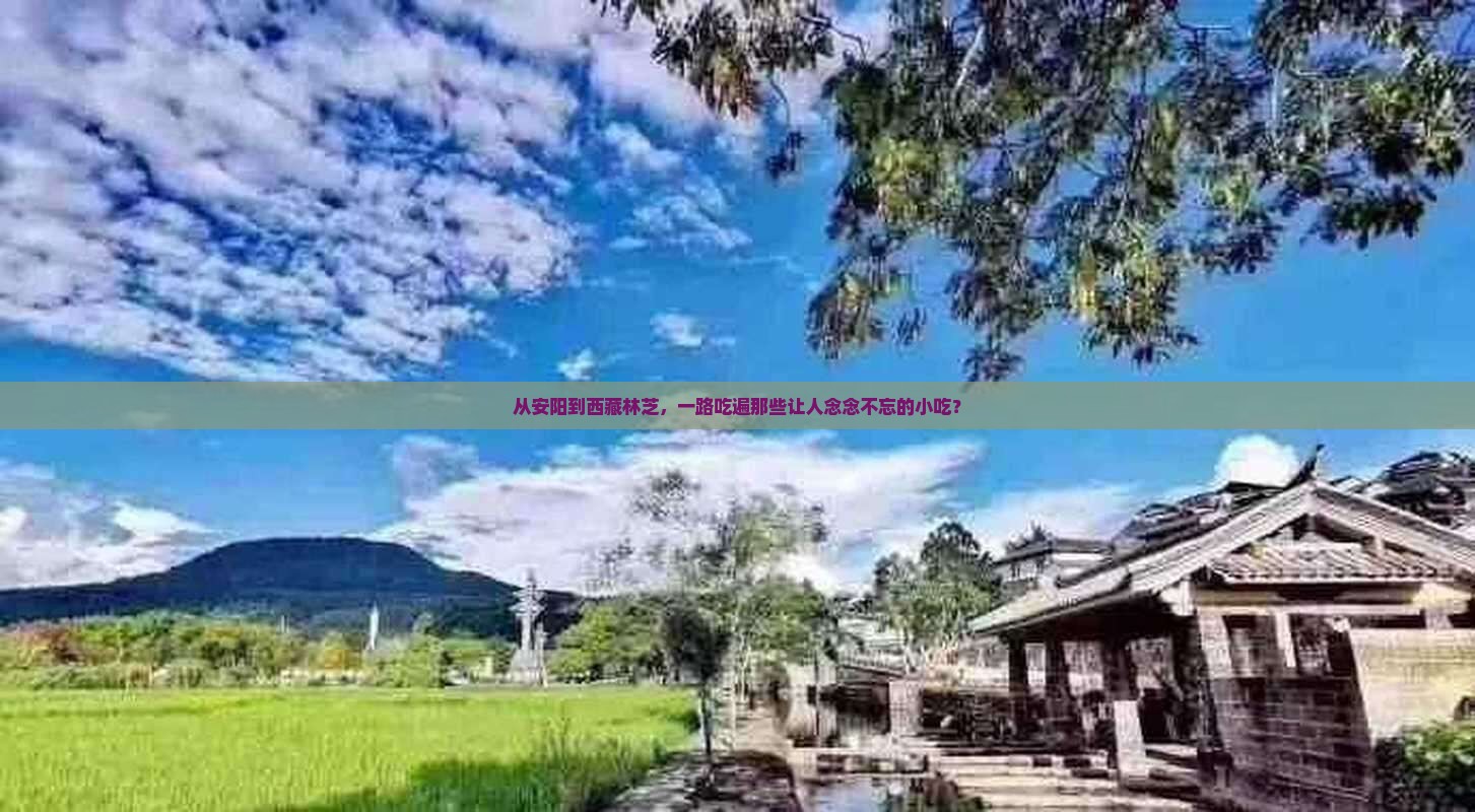 安阳去西藏林芝旅游小吃