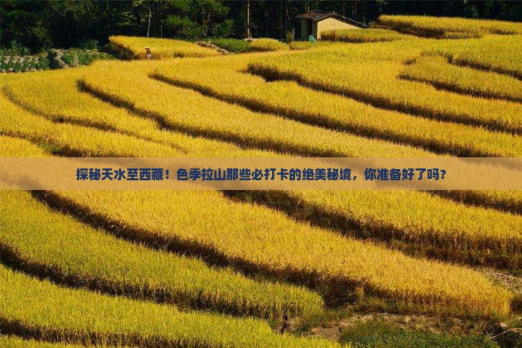天水去西藏色季拉山必去地