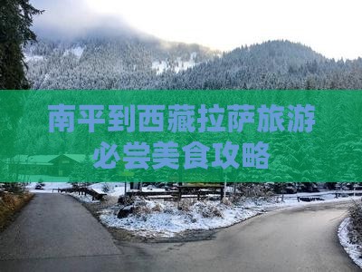 南平去西藏拉萨旅游小吃