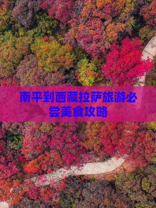 南平去西藏拉萨旅游小吃