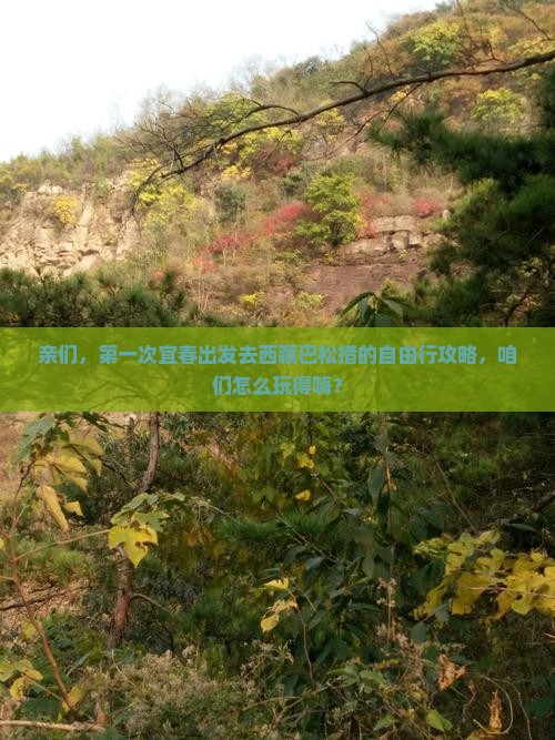 宜春到西藏巴松措团体旅游