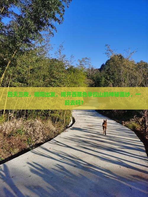 揭阳到西藏色季拉山四日游