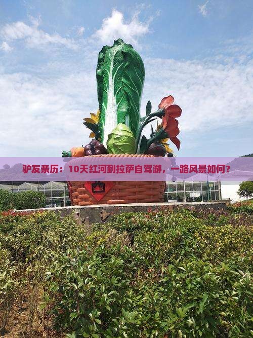 红河去西藏拉萨攻略 红河去西藏拉萨攻略