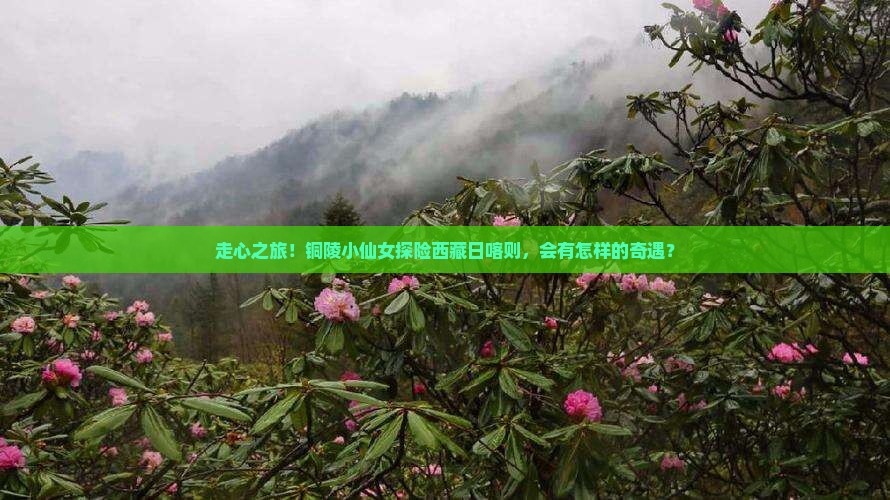 铜陵到西藏日喀则自由行