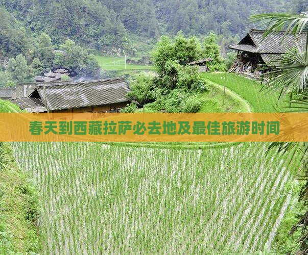 春天到西藏拉萨必去地