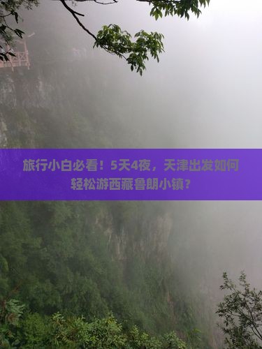 天津到西藏鲁朗小镇自由团