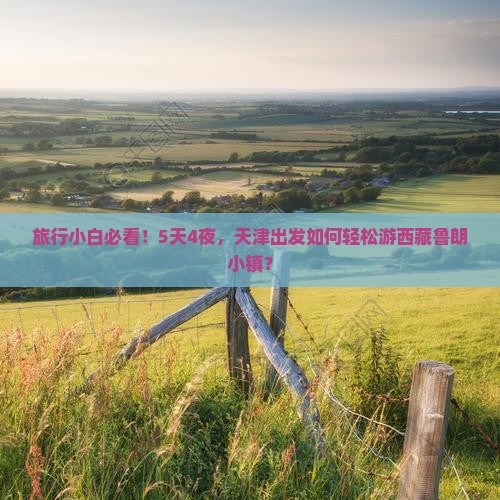 天津到西藏鲁朗小镇自由团