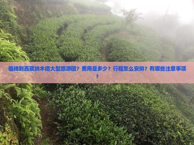 临猗到西藏纳木措大型旅游团 临猗到西藏纳木措大型旅游团