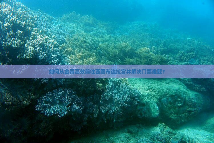 金昌去西藏布达拉宫门票
