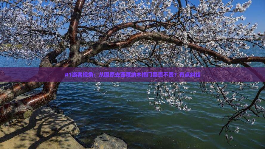 固原到西藏纳木措门票