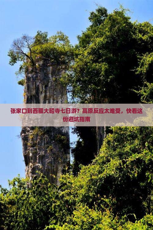 张家口到西藏大昭寺七日游