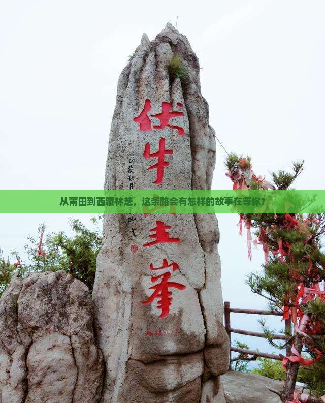 莆田到西藏林芝攻略