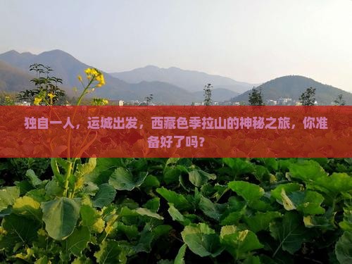 运城去西藏色季拉山个人游