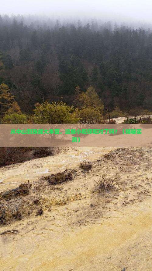 中山到西藏珠峰大本营旅游小吃
