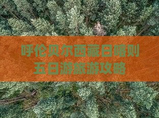 呼伦贝尔去西藏日喀则五日游