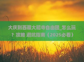 大庆到西藏大昭寺自由团