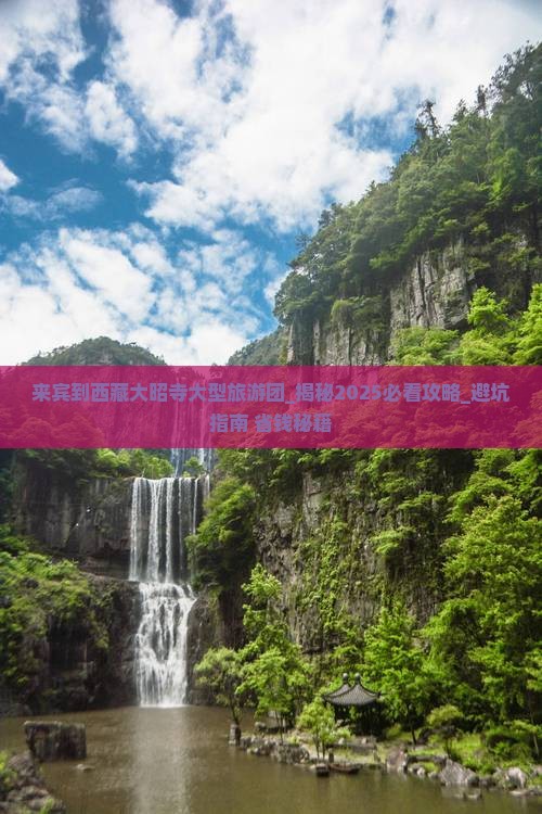 来宾到西藏大昭寺大型旅游团