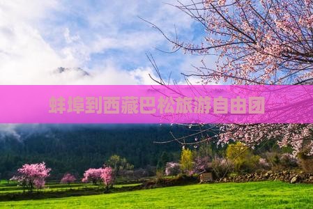 蚌埠到西藏巴松措自由团