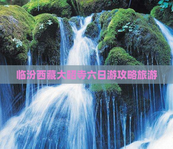 临汾去西藏大昭寺六日游