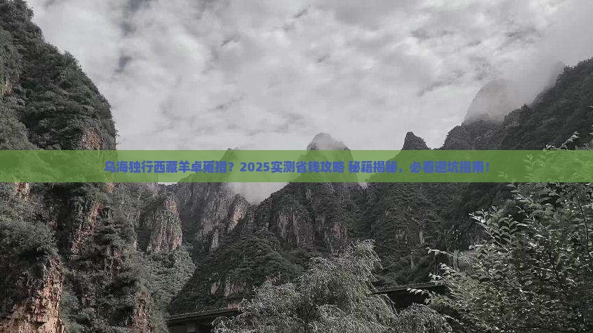 乌海去西藏羊卓雍措个人游