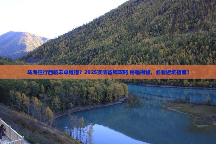 乌海去西藏羊卓雍措个人游