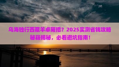 乌海去西藏羊卓雍措个人游