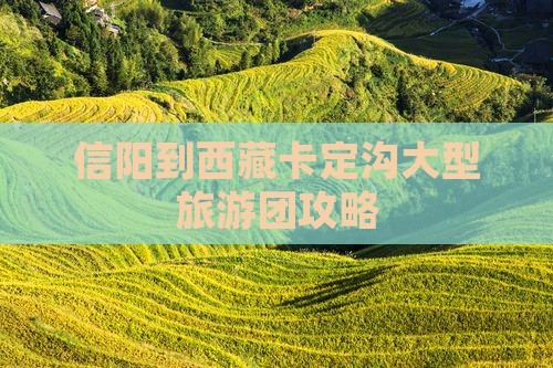 信阳到西藏卡定沟大型旅游团
