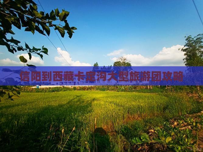 信阳到西藏卡定沟大型旅游团