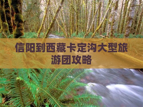 信阳到西藏卡定沟大型旅游团