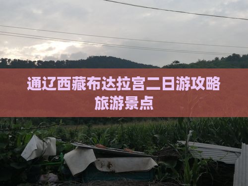 通辽市去西藏布达拉宫二日游
