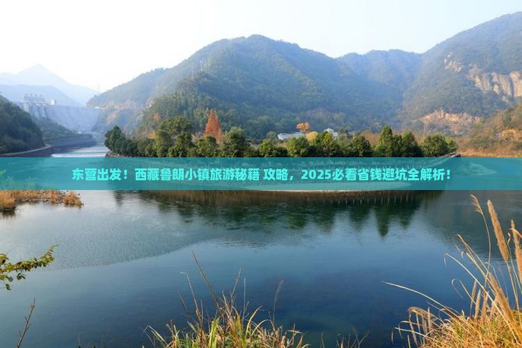 东营去西藏鲁朗小镇旅游