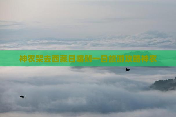 神农架去西藏日喀则一日