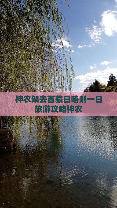 神农架去西藏日喀则一日