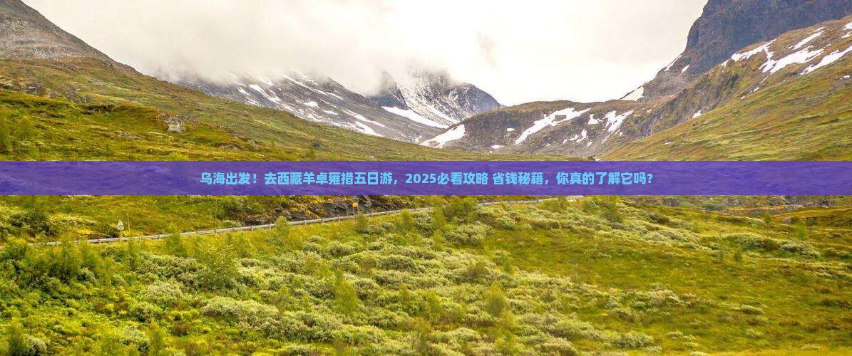 乌海市去西藏羊卓雍措五日游