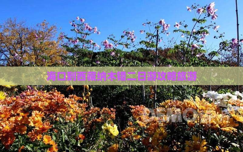 海口到西藏纳木措二日游