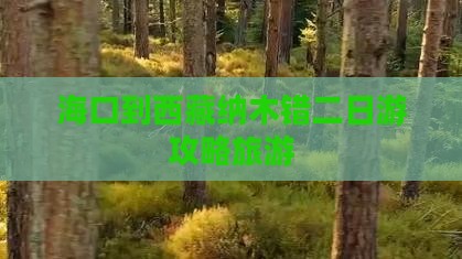 海口到西藏纳木措二日游