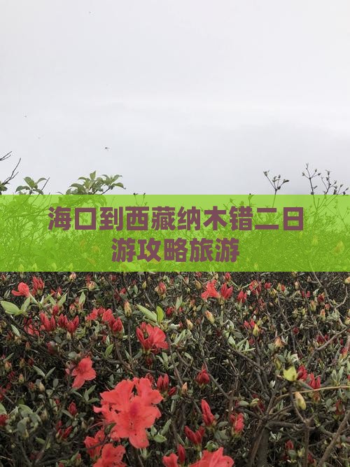 海口到西藏纳木措二日游