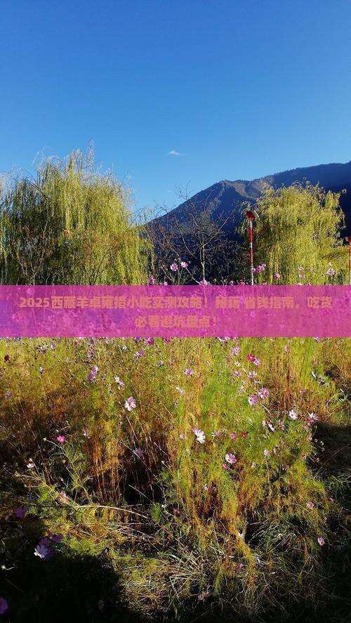 来宾去西藏羊卓雍措旅游小吃