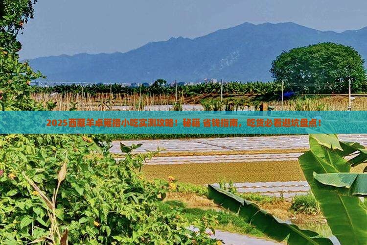 来宾去西藏羊卓雍措旅游小吃