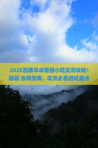 来宾去西藏羊卓雍措旅游小吃
