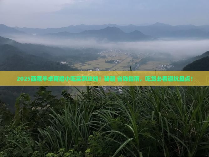 来宾去西藏羊卓雍措旅游小吃