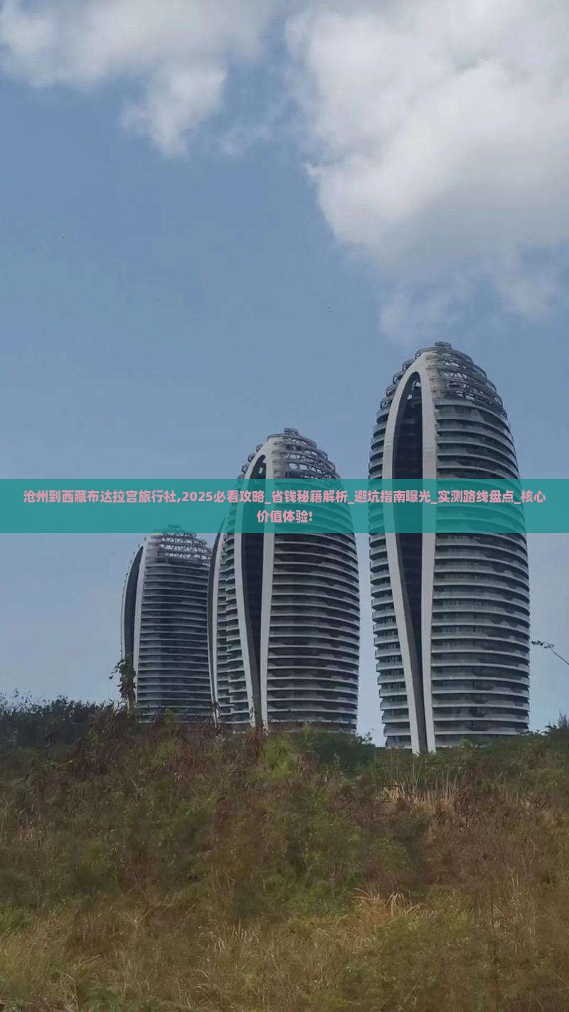 沧州到西藏布达拉宫旅行社