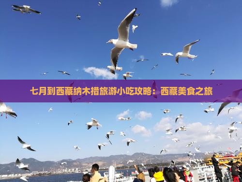 七月到西藏纳木措旅游小吃