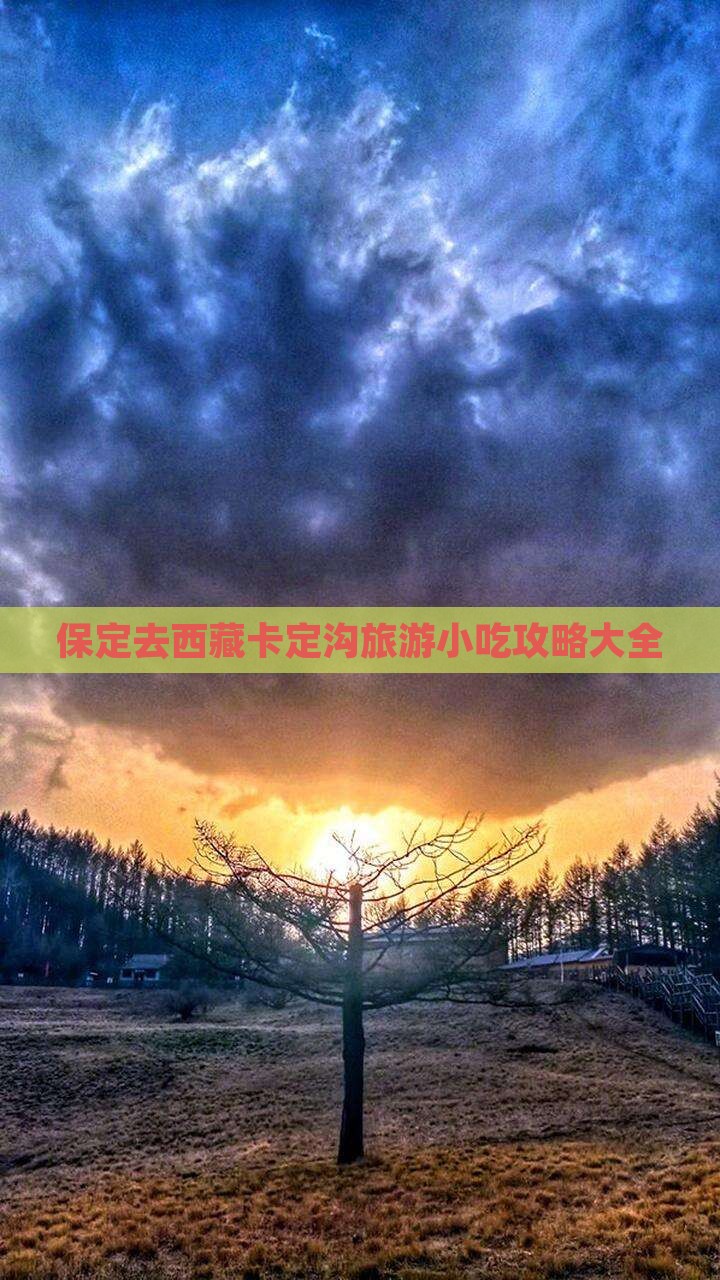保定去西藏卡定沟旅游小吃