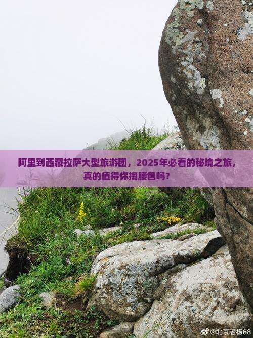 阿里到西藏拉萨大型旅游团